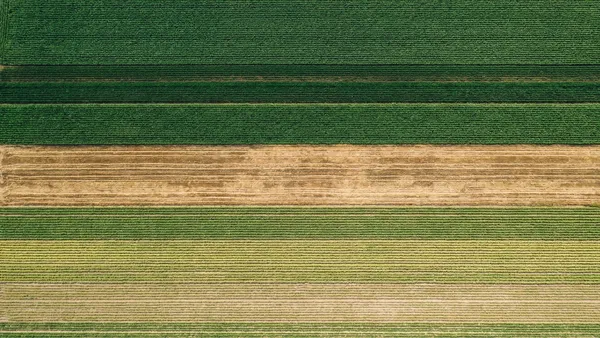Irrigation system inspection with drone