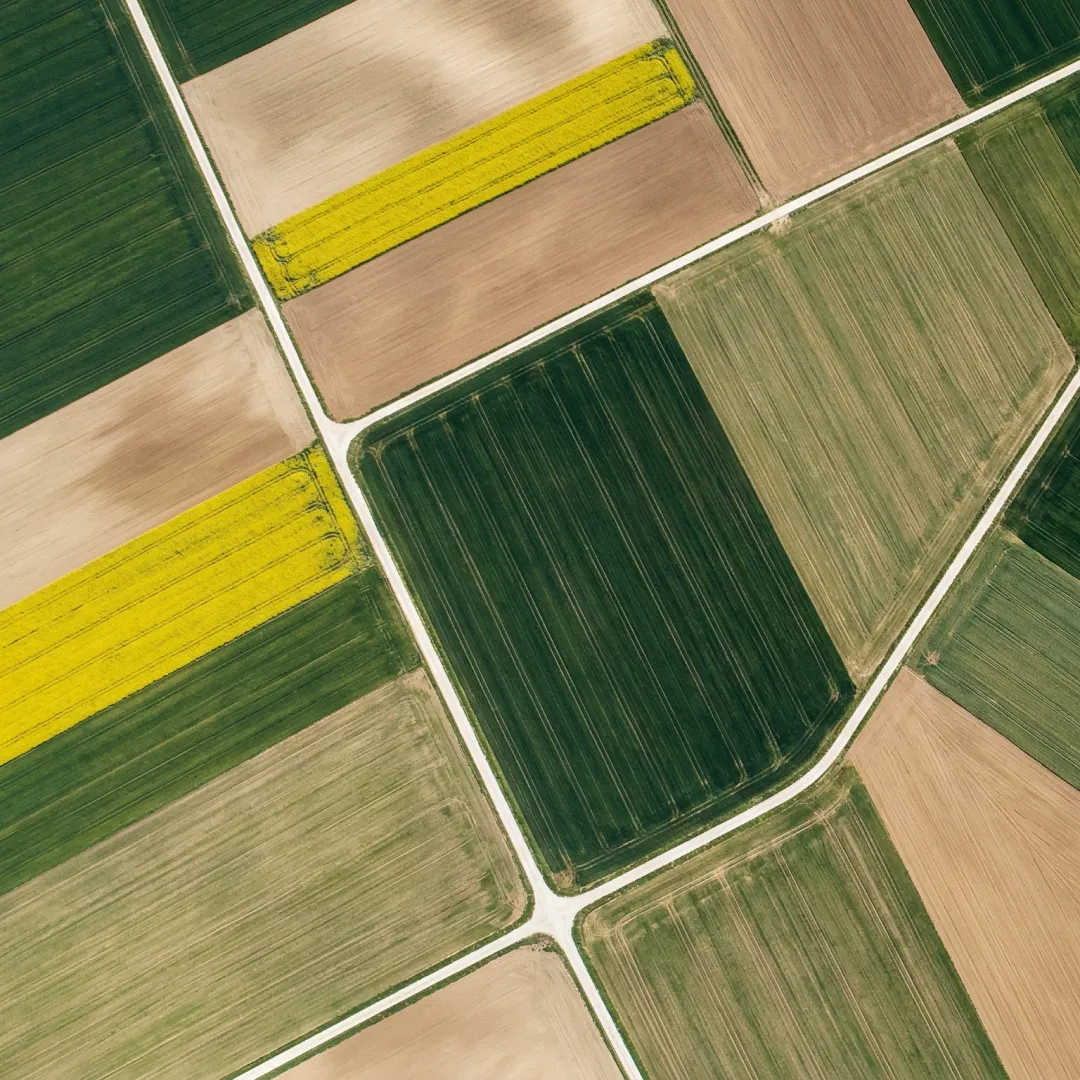 Drone mapping & surveying